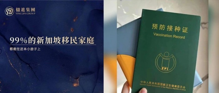 在新加坡,99%的移民家庭都栽在这本小册子上