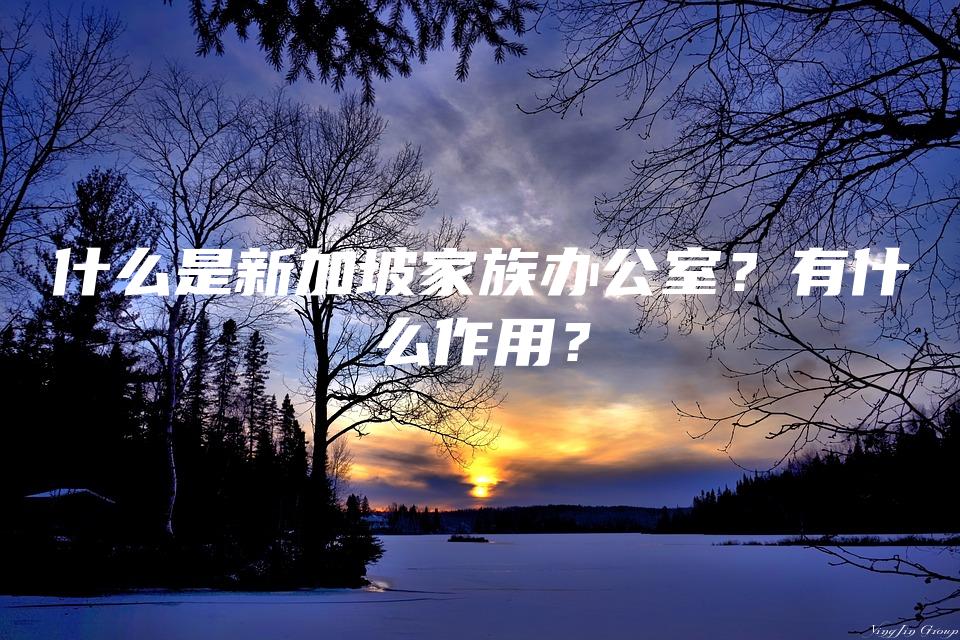 什么是新加坡家族办公室？有什么作用？