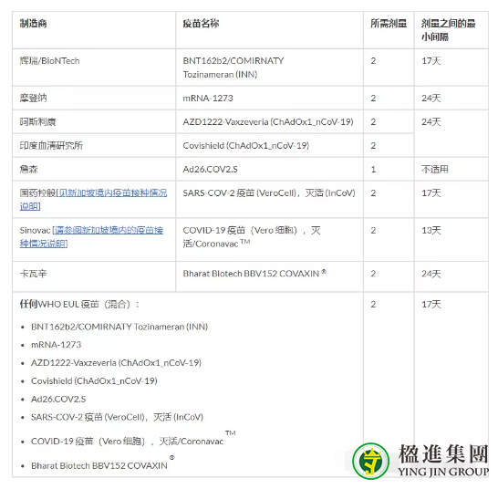 过年期间新加坡入境流程