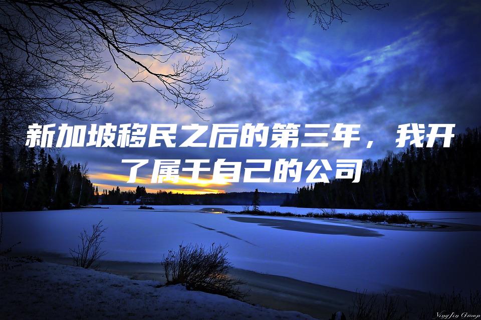 新加坡移民之后的第三年，我开了属于自己的公司