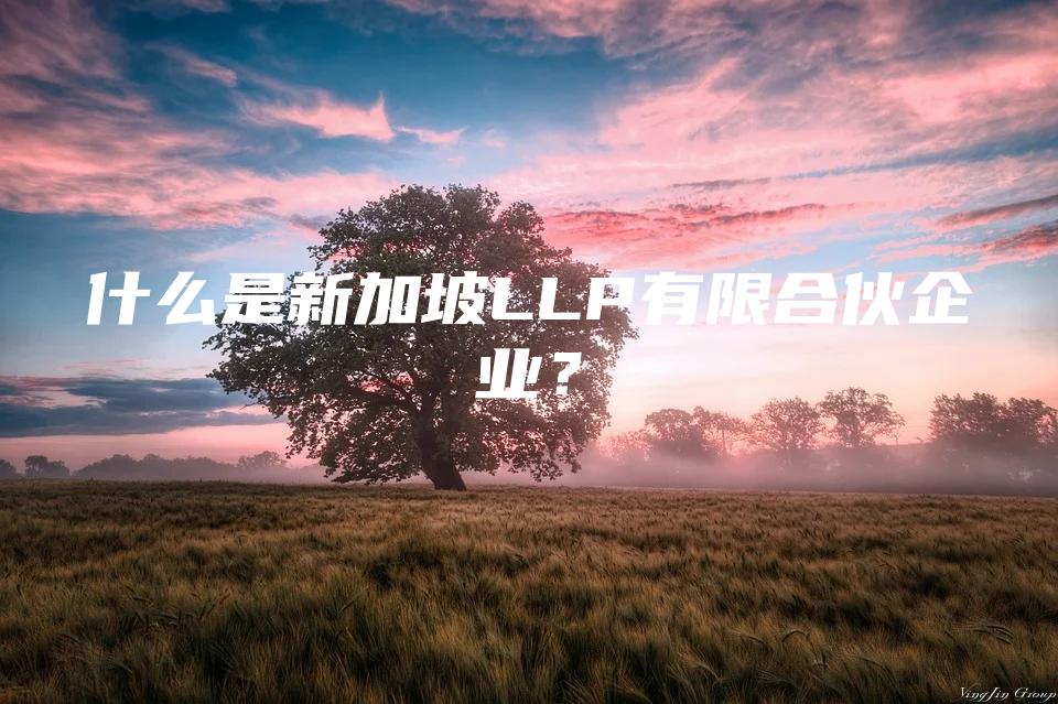 什么是新加坡LLP有限合伙企业？