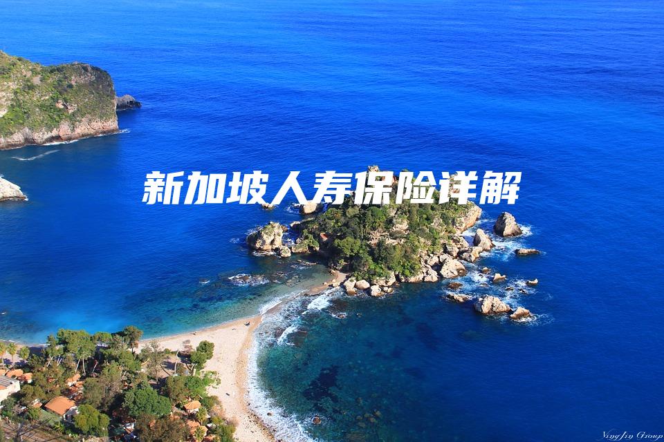 新加坡人寿保险详解