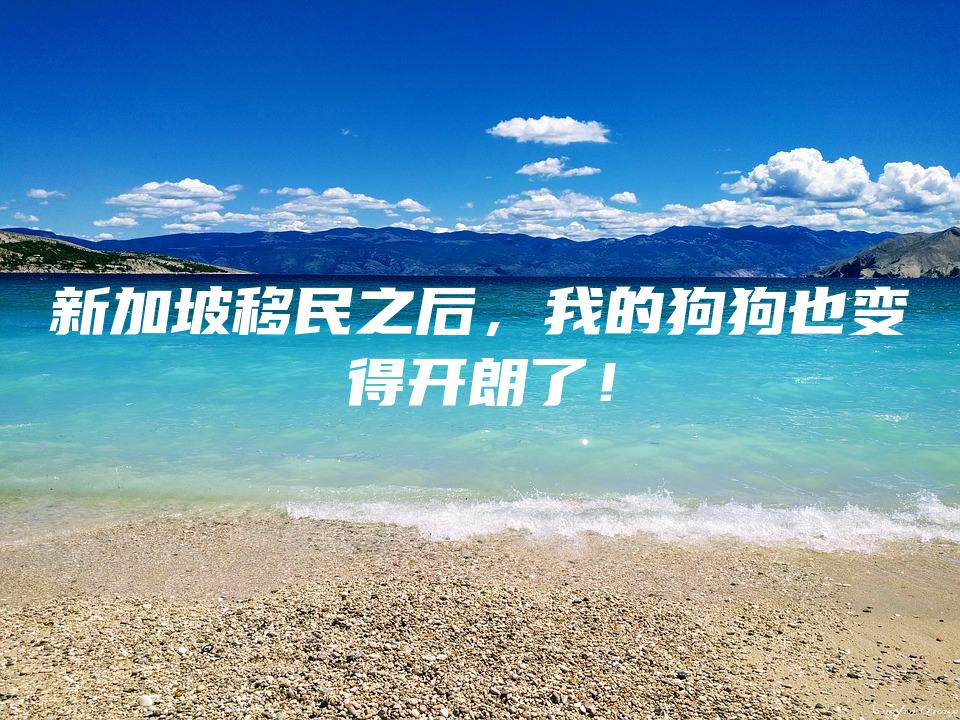 新加坡移民之后，我的狗狗也变得开朗了！