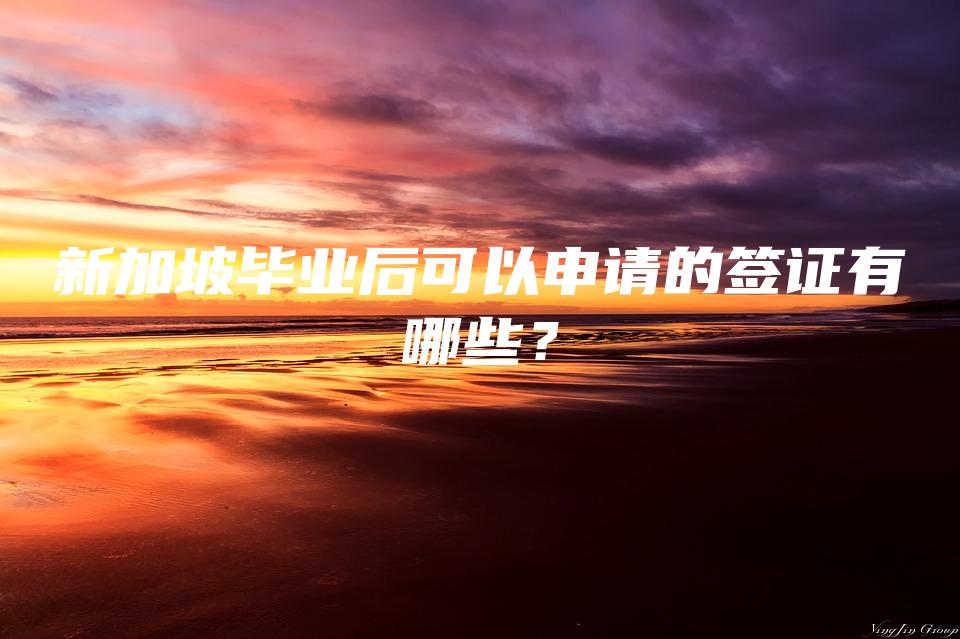 新加坡毕业后可以申请的签证有哪些？