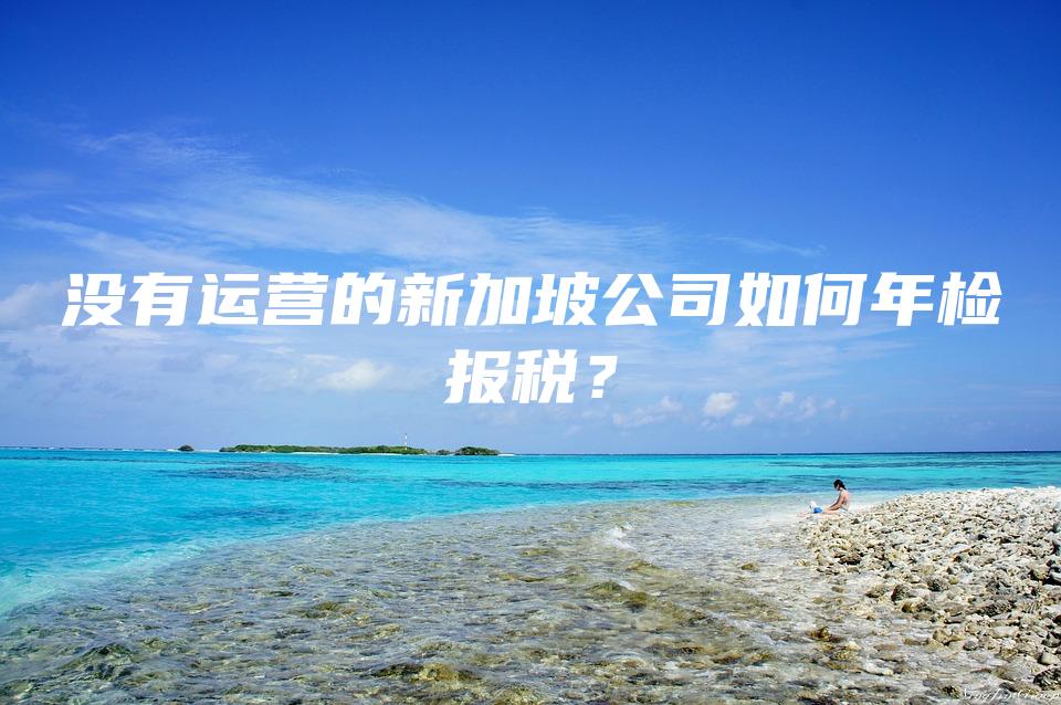 没有运营的新加坡公司如何年检报税？