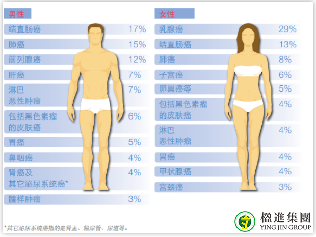 新加坡体检内容及流程