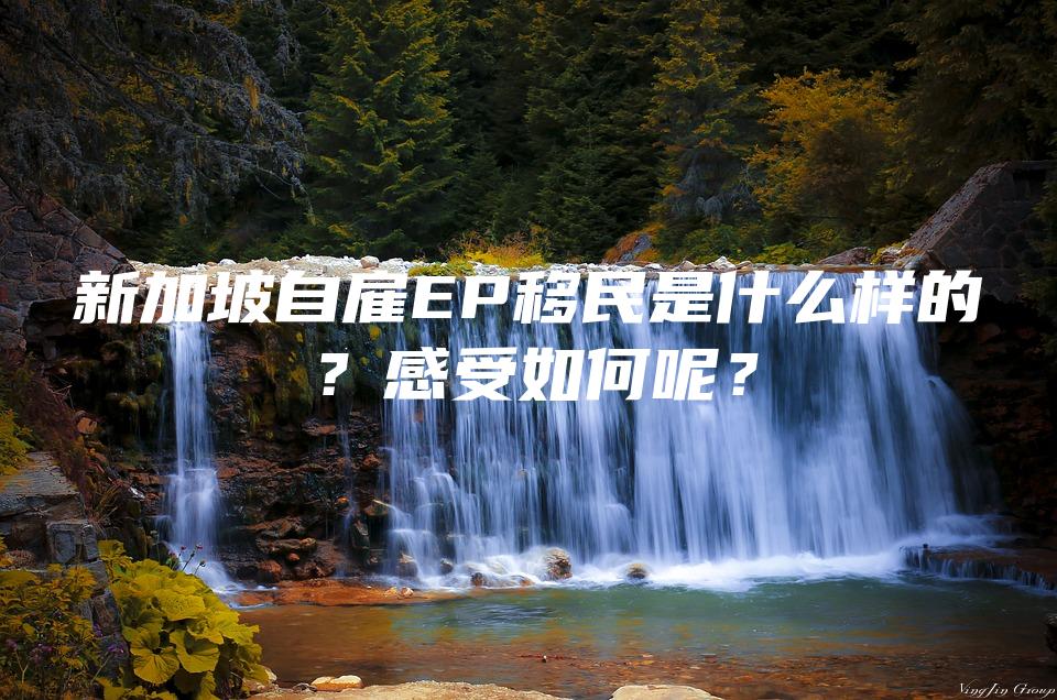 新加坡自雇EP移民是什么样的？感受如何呢？