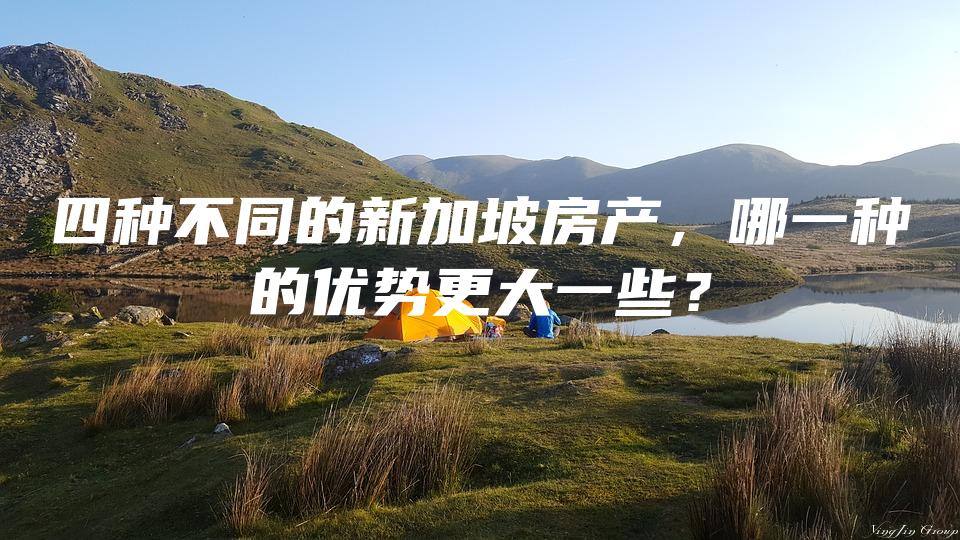 四种不同的新加坡房产，哪一种的优势更大一些？