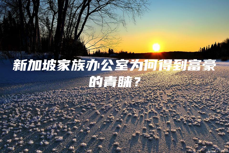 新加坡家族办公室为何得到富豪的青睐？