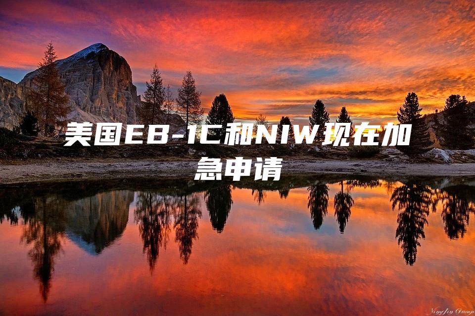 美国EB-1C和NIW现在加急申请