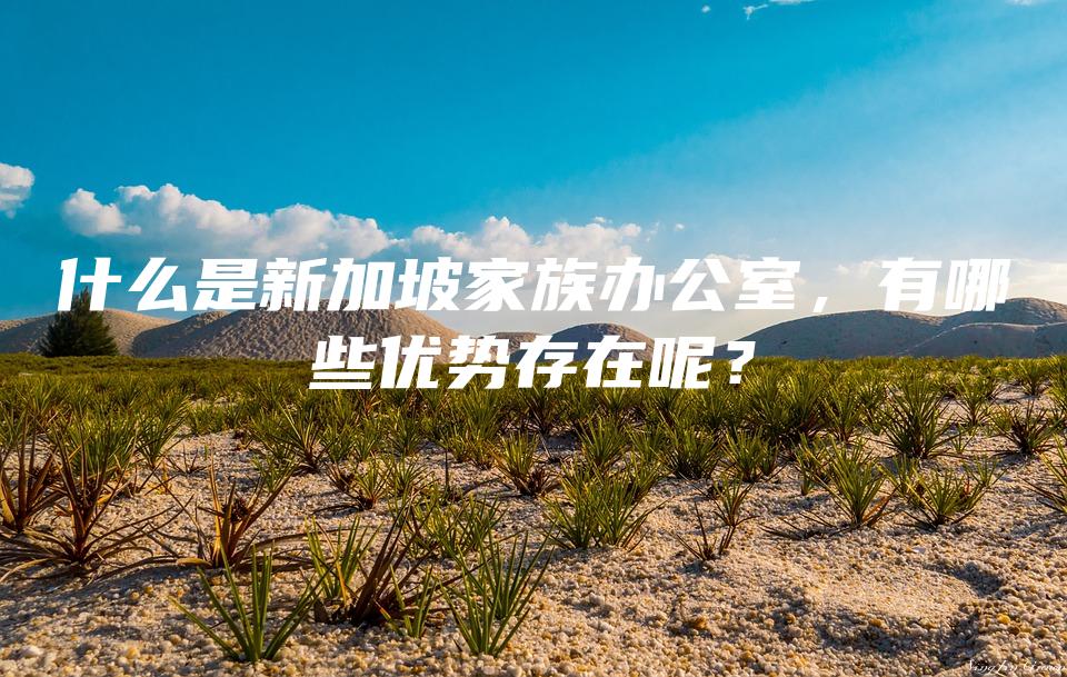 什么是新加坡家族办公室，有哪些优势存在呢？