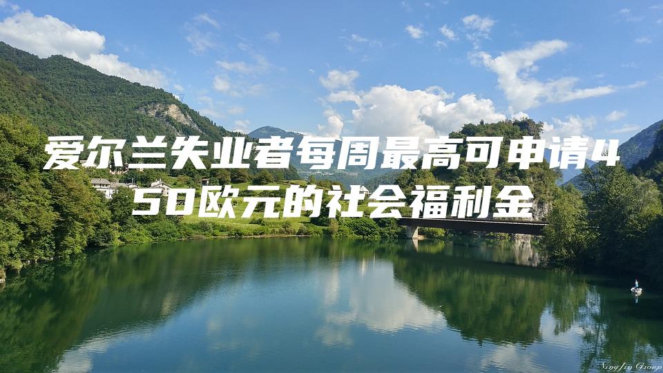 爱尔兰失业者每周最高可申请450欧元的社会福利金