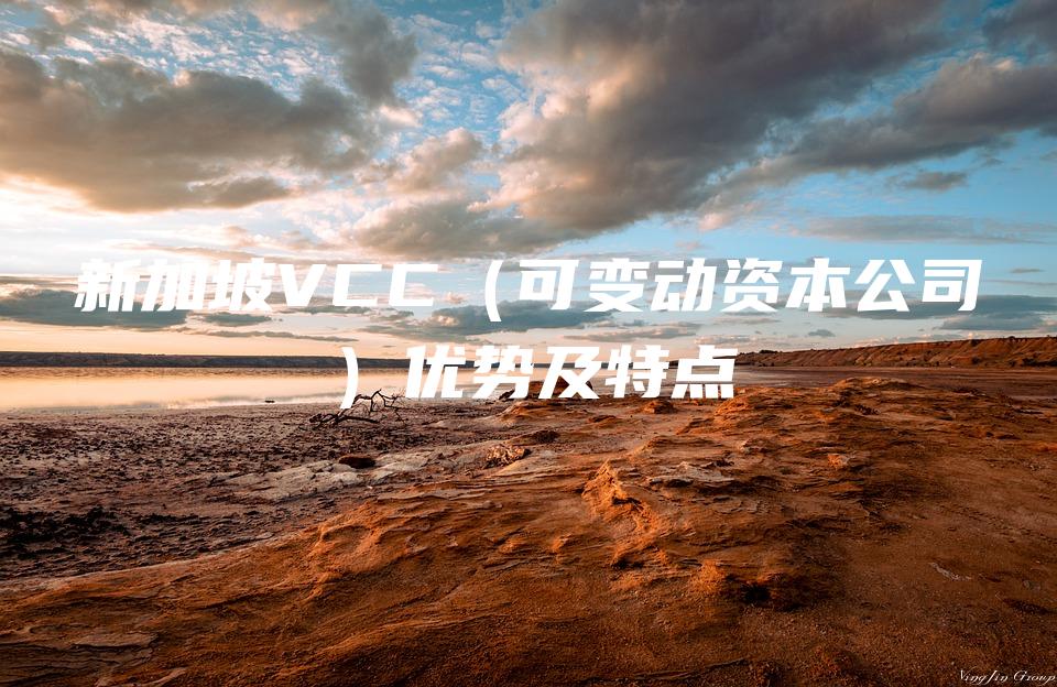 新加坡VCC（可变动资本公司）优势及特点