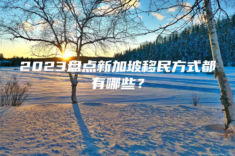 2023盘点新加坡移民方式都有哪些？