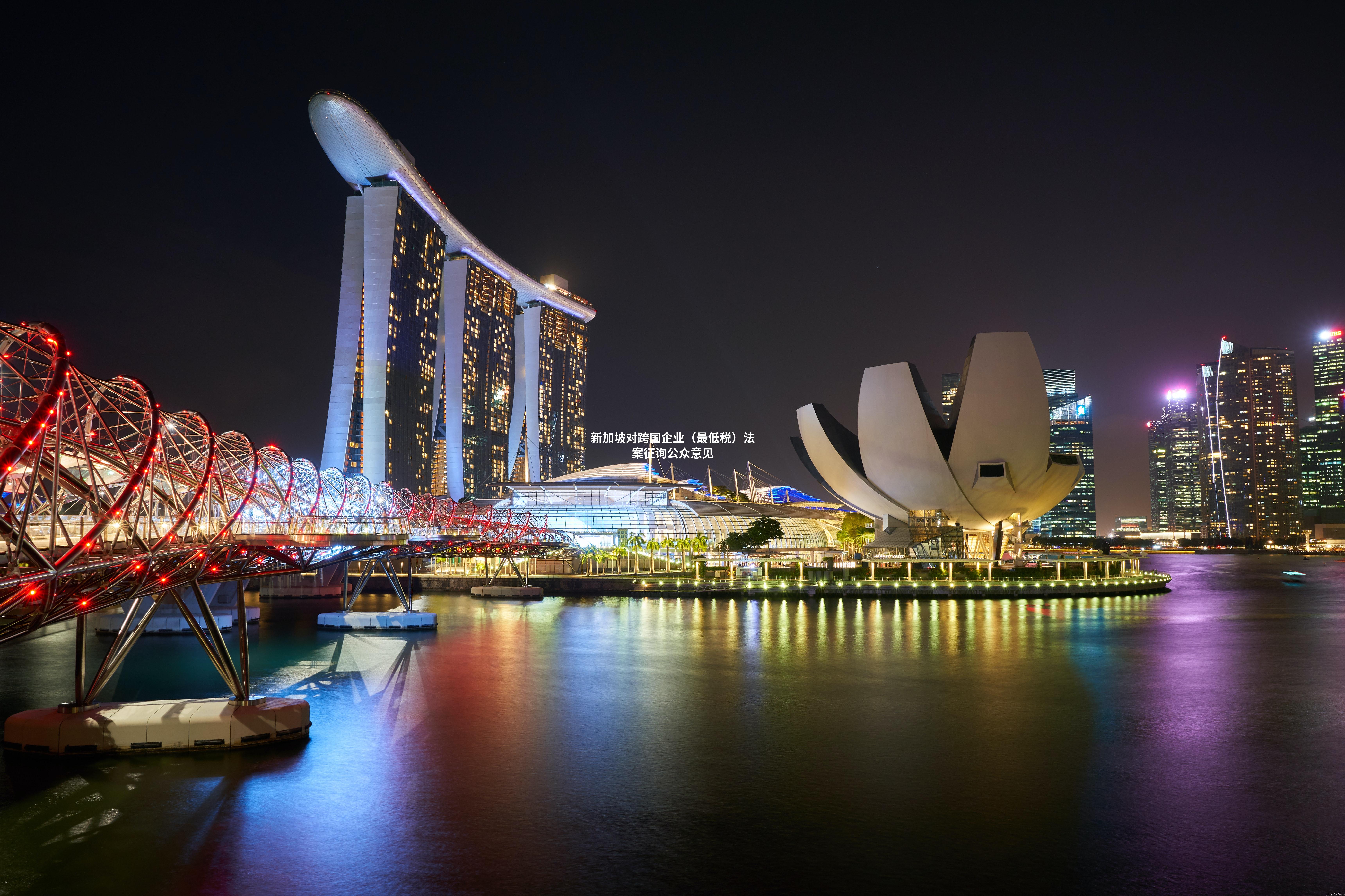新加坡对跨国企业（最低税）法案征询公众意见
