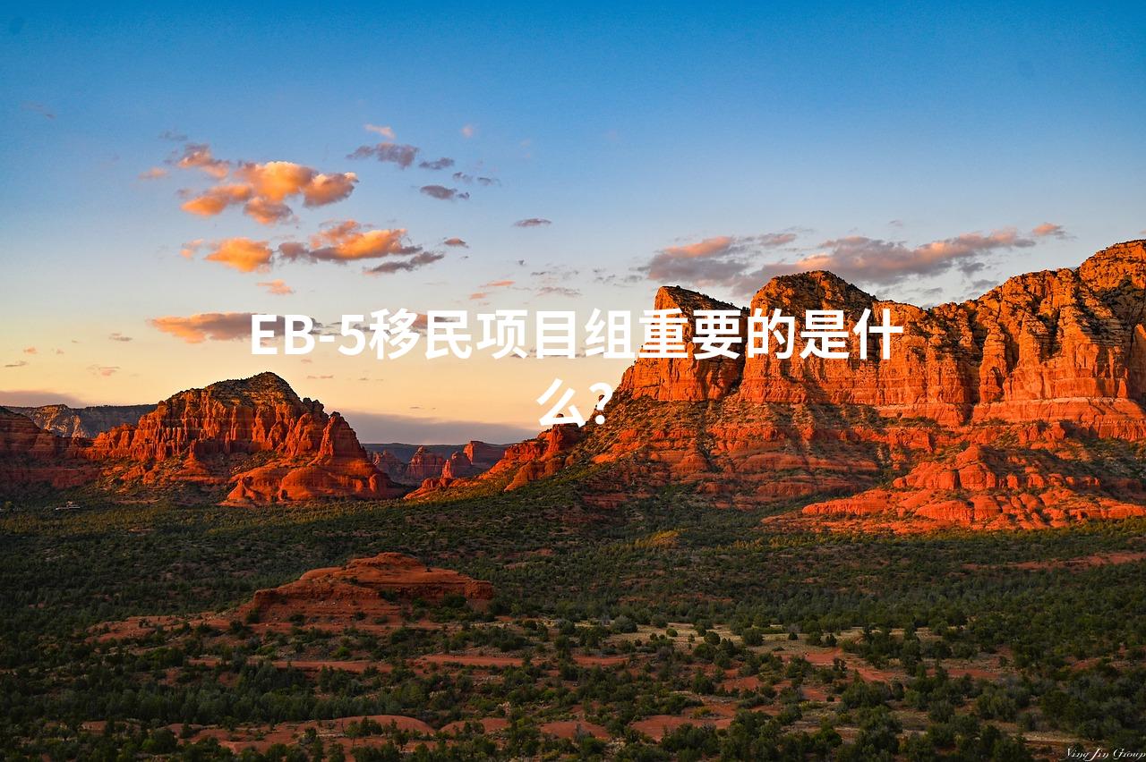 EB-5移民项目组重要的是什么？