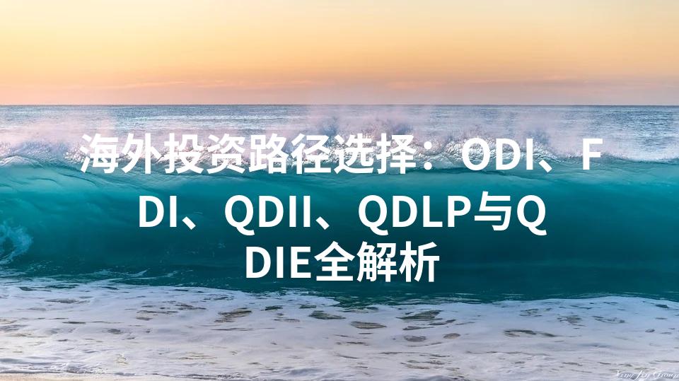 海外投资路径选择：ODI、FDI、QDII、QDLP与QDIE全解析