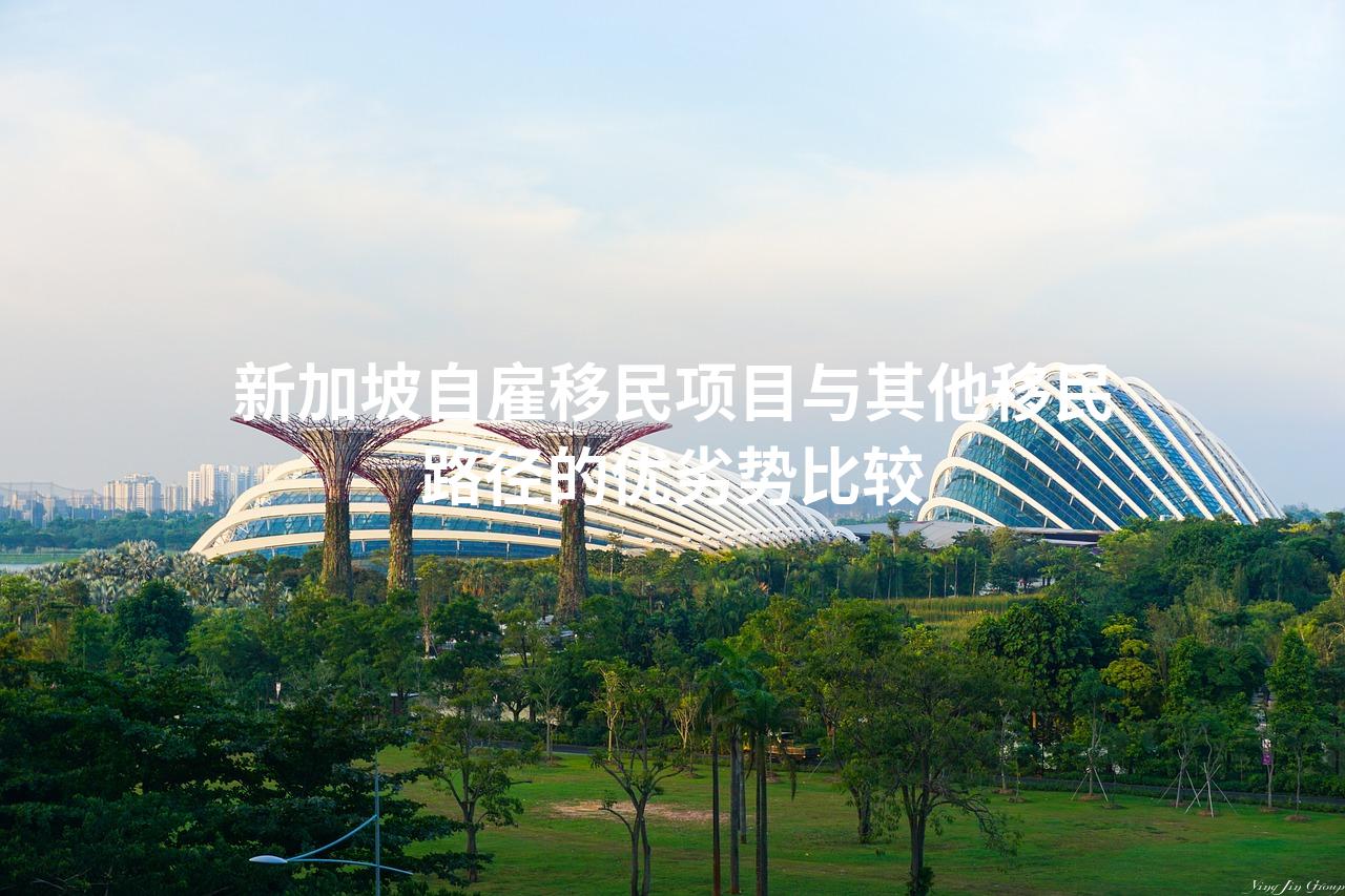 新加坡自雇移民项目与其他移民路径的优劣势比较