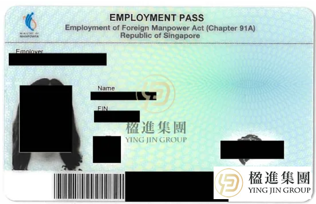 中小企业主出海首选：新加坡公司+EP/DP全家身份方案