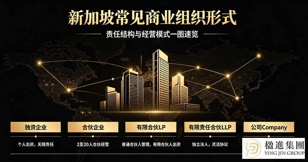 出海新加坡必读：5大商业组织形式怎么选？一文理清最优架构